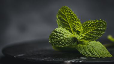 garnishing-instructions-image